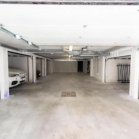 Catleya * Saint-Raphaël